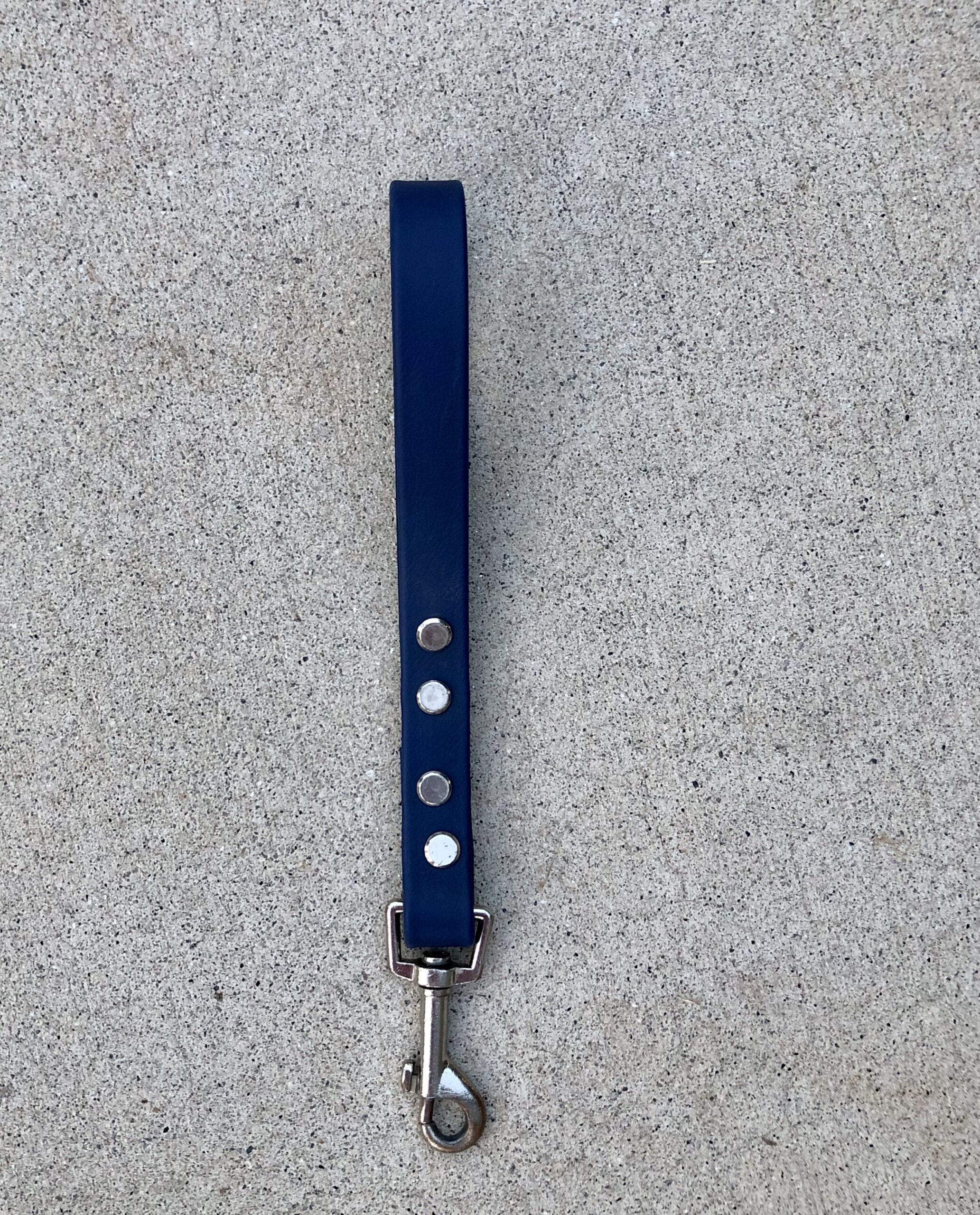 Biothane Traffic Leash