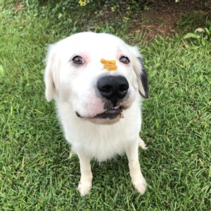 Monthly Advanced Training Plan